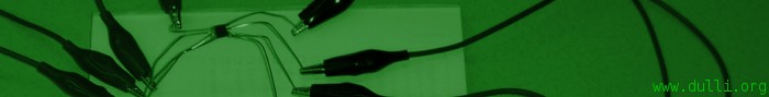 www.dulli.org